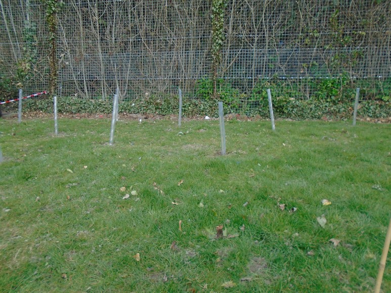 Photo of children planting trees