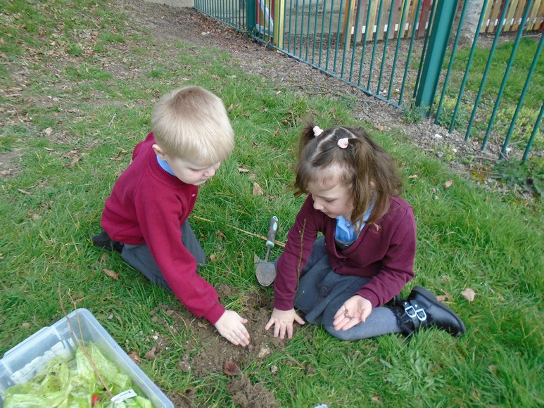 Photo of children planting trees