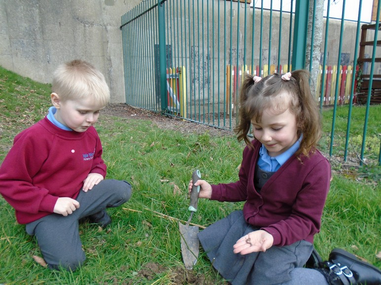 Photo of children planting trees